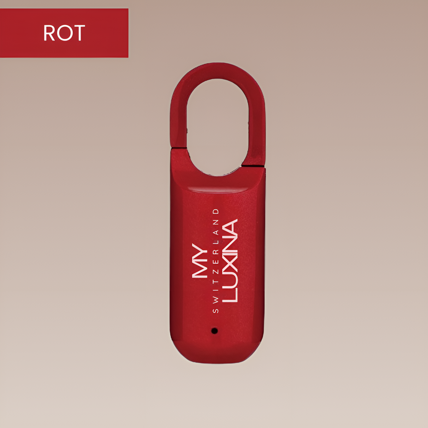 SmartPrint Lock